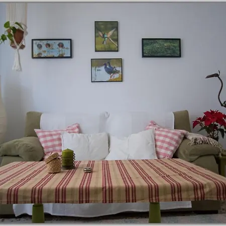 Casa De Pajaros Apartment Seville