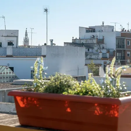 Apartment Alfareria Seville