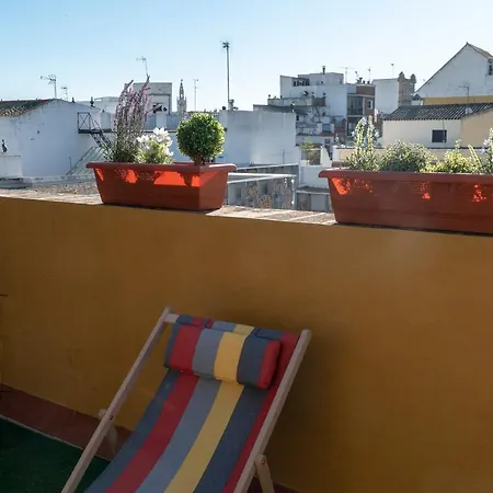 Alfareria * Seville