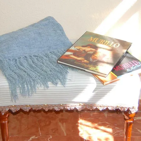 Luxury Quinta Buganvilla Seville