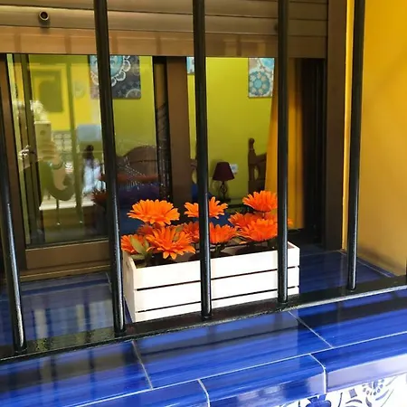 Macarena Guest house *