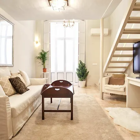 Duplex De Lujo En Palacio Junto Catedral Apartment