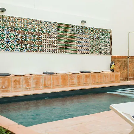 Apartment Santa Paula Pool & Luxury Seville