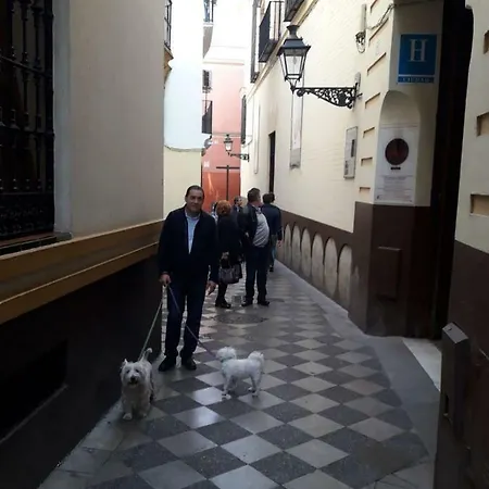 Nool Appartamento Siviglia