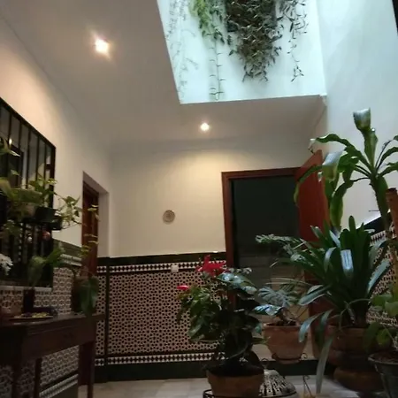Oasi Macarena Apartman *