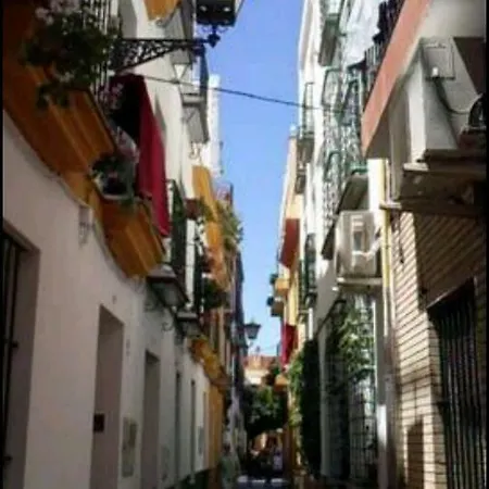 Oasi Macarena Sevilla