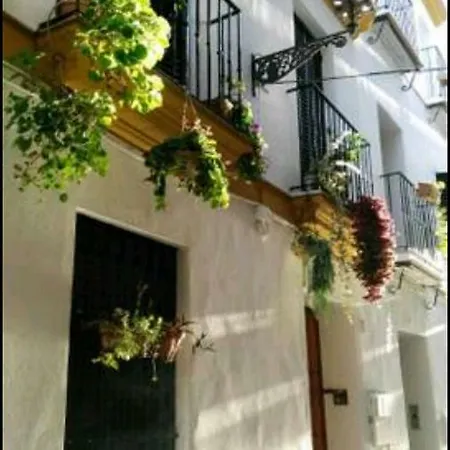 Apartman Oasi Macarena