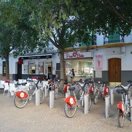 Atico Con Terraza En Alameda De Hercules