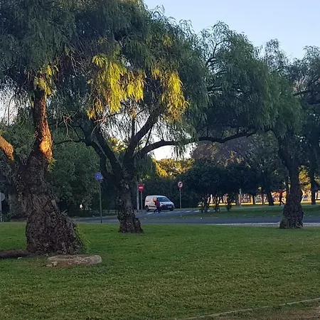 Frente A Palacio De Congresos Siviglia