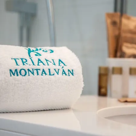 Hotel Triana Montalvan 3*
