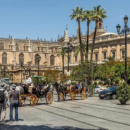 Waou Cosy I Sevilla Cathedral Siviglia
