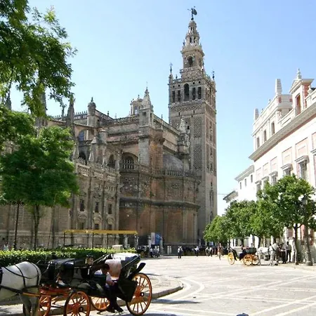 Gonzalez Abreu * Seville