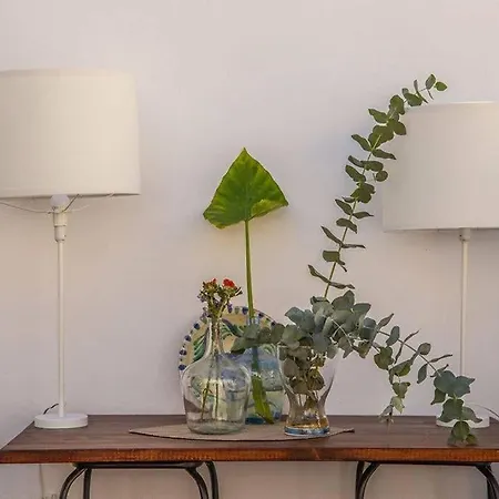Next To The Mushrooms, Very Bright Penthouse. Apartment