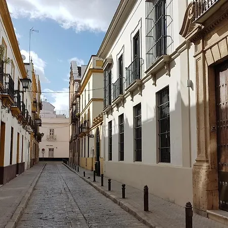 Vidrio 36 *