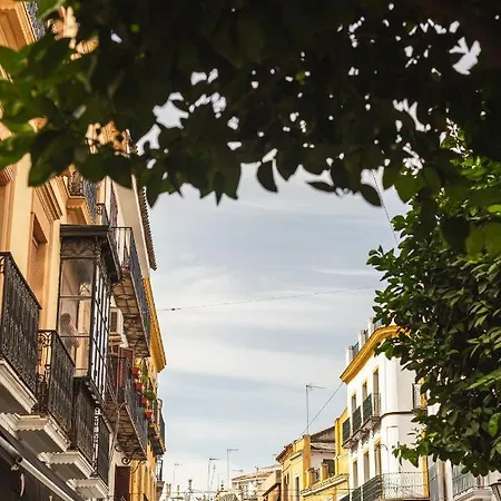 Joya Del Casco Boutique By Shiadu 3* Sevilla