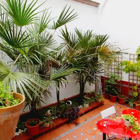 Residencia Viriato Hostel *