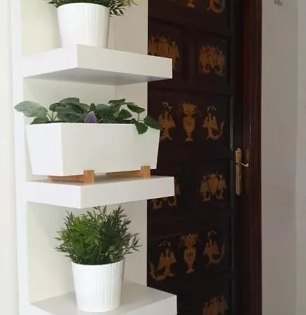 Residencia Viriato Seville