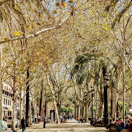 Casa Patio Del Siglo Xix * セビリア