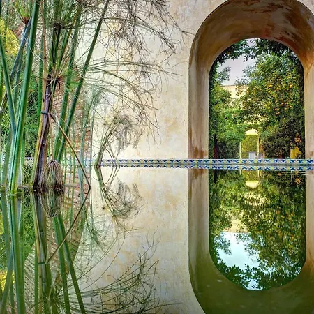 Casa Patio Del Siglo Xix アパートホテル
